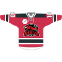 SB Youth Bears (HOME) Skater Jersey 