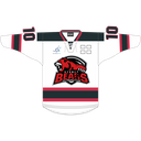 SB Youth Bears (AWAY) Skater Jersey