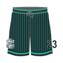 Gulls Basketball Shorts